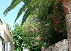 Gerceg Novi004a