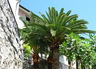 Gerceg Novi07