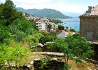 Gerceg Novi12