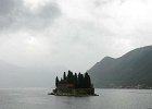 IMG 0654