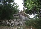 IMG 2550