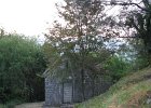 IMG 2558