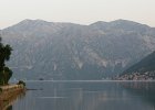 IMG 2579