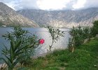 IMG 3841