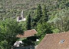 IMG 4135