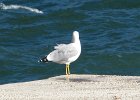 IMG 4157