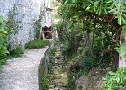 IMG 4164