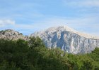 IMG 4207