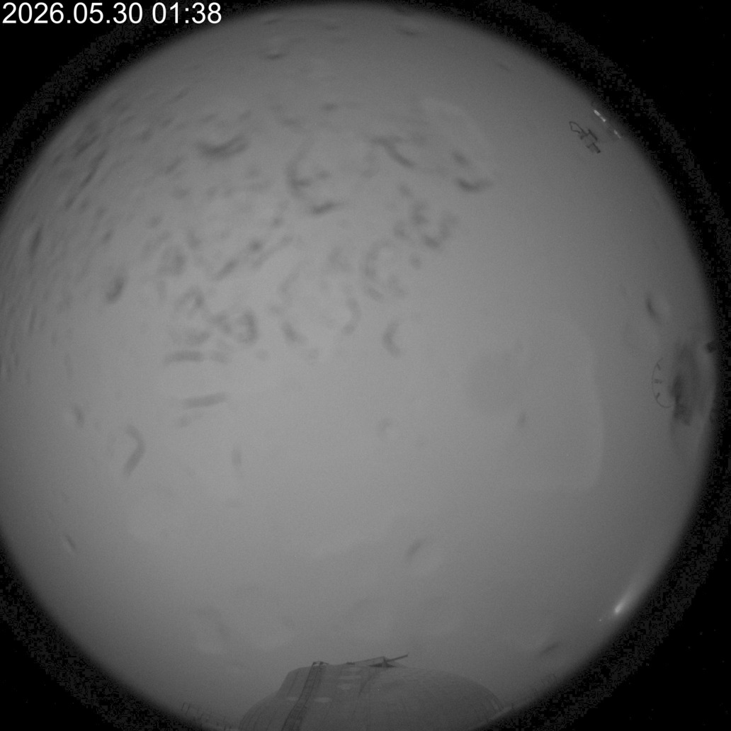 AllSky Camera