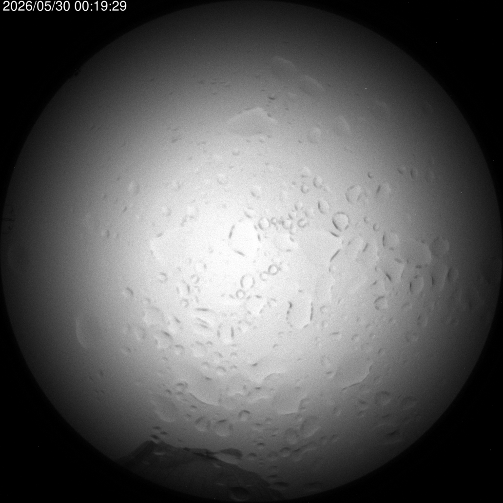 AllSky Camera